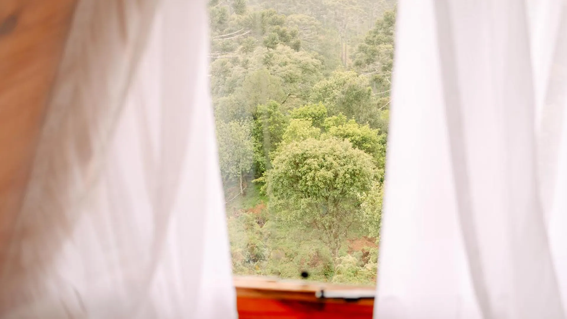 Chales Recanto Do Vale - Gralha Azul Bom Jardim da Serra Kır Evi