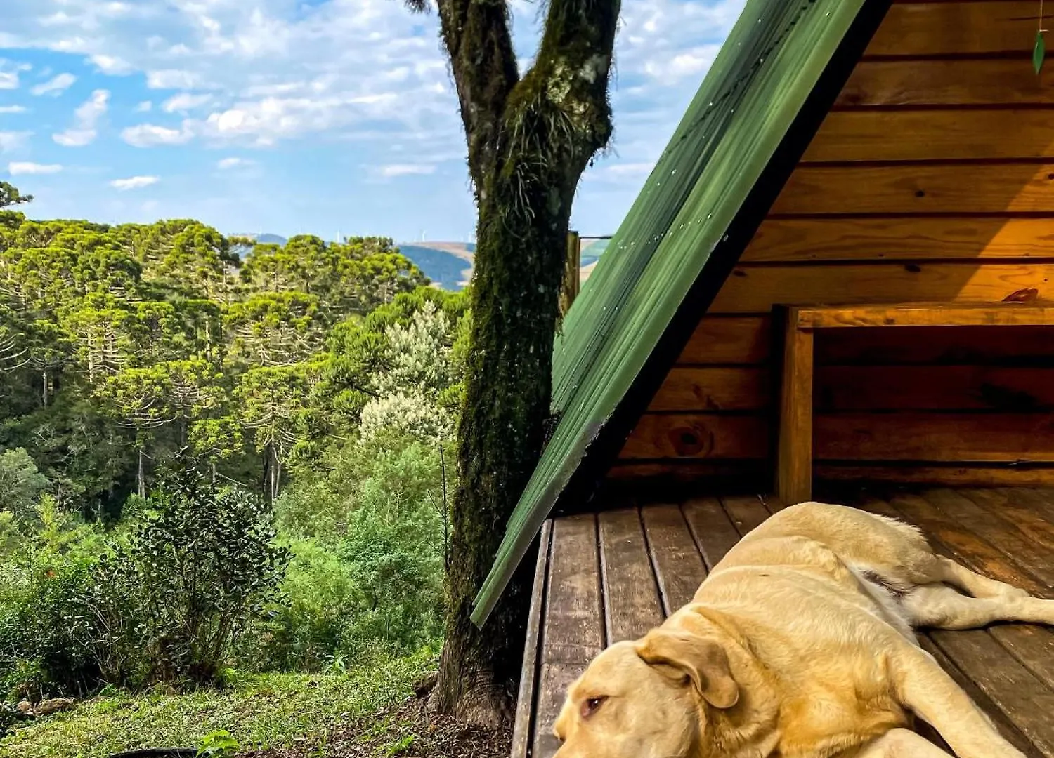 Chales Recanto Do Vale - Gralha Azul Bom Jardim da Serra Kır Evi