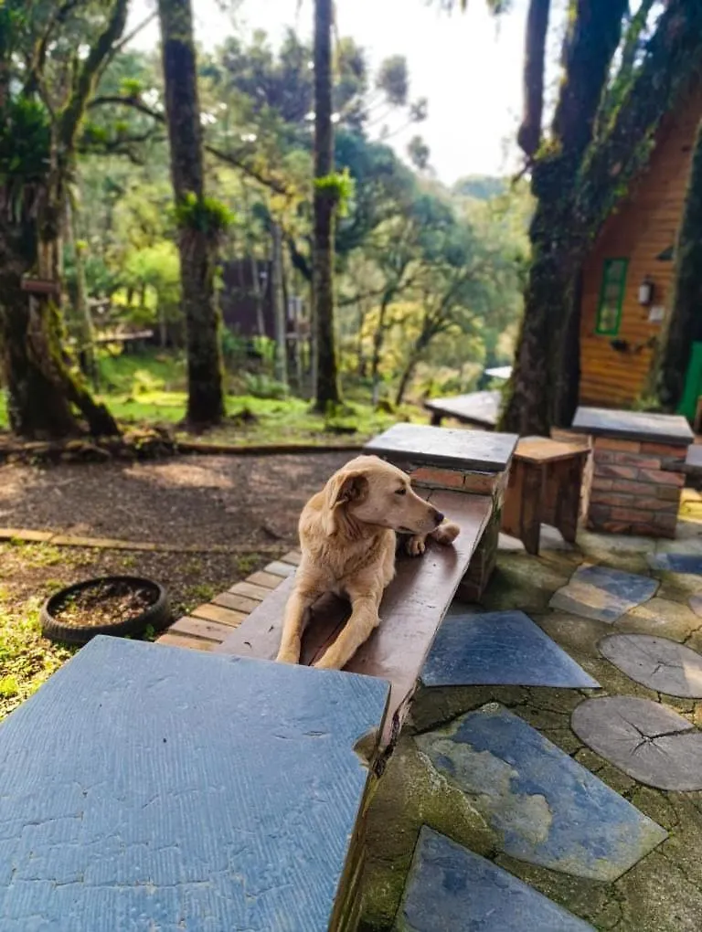 Chales Recanto Do Vale - Gralha Azul Bom Jardim da Serra Gospodarstwo wiejskie