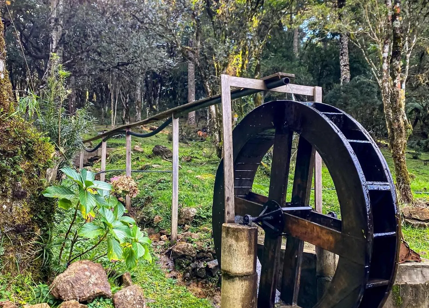 Chales Recanto Do Vale - Gralha Azul Bom Jardim da Serra