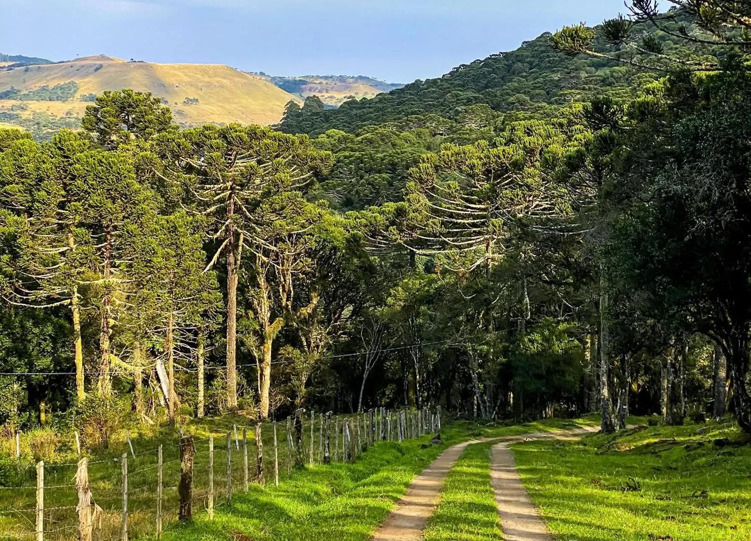 Chales Recanto Do Vale - Gralha Azul Bom Jardim da Serra